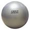 Foto do produto Bola de Pilates/Alongamento 65cm -  O'neal (Prata)