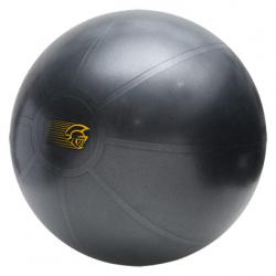 Imagem do produto Bola de Pilates/Alongamento 65 cm - Pretorian (Cinza)