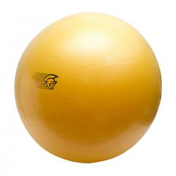 Imagem do produto Bola de Pilates/Alongamento 75 cm - Pretorian (Amarela)